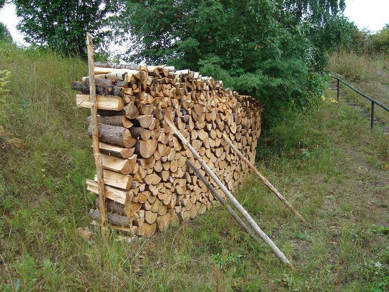 Правила и способы хранения дров