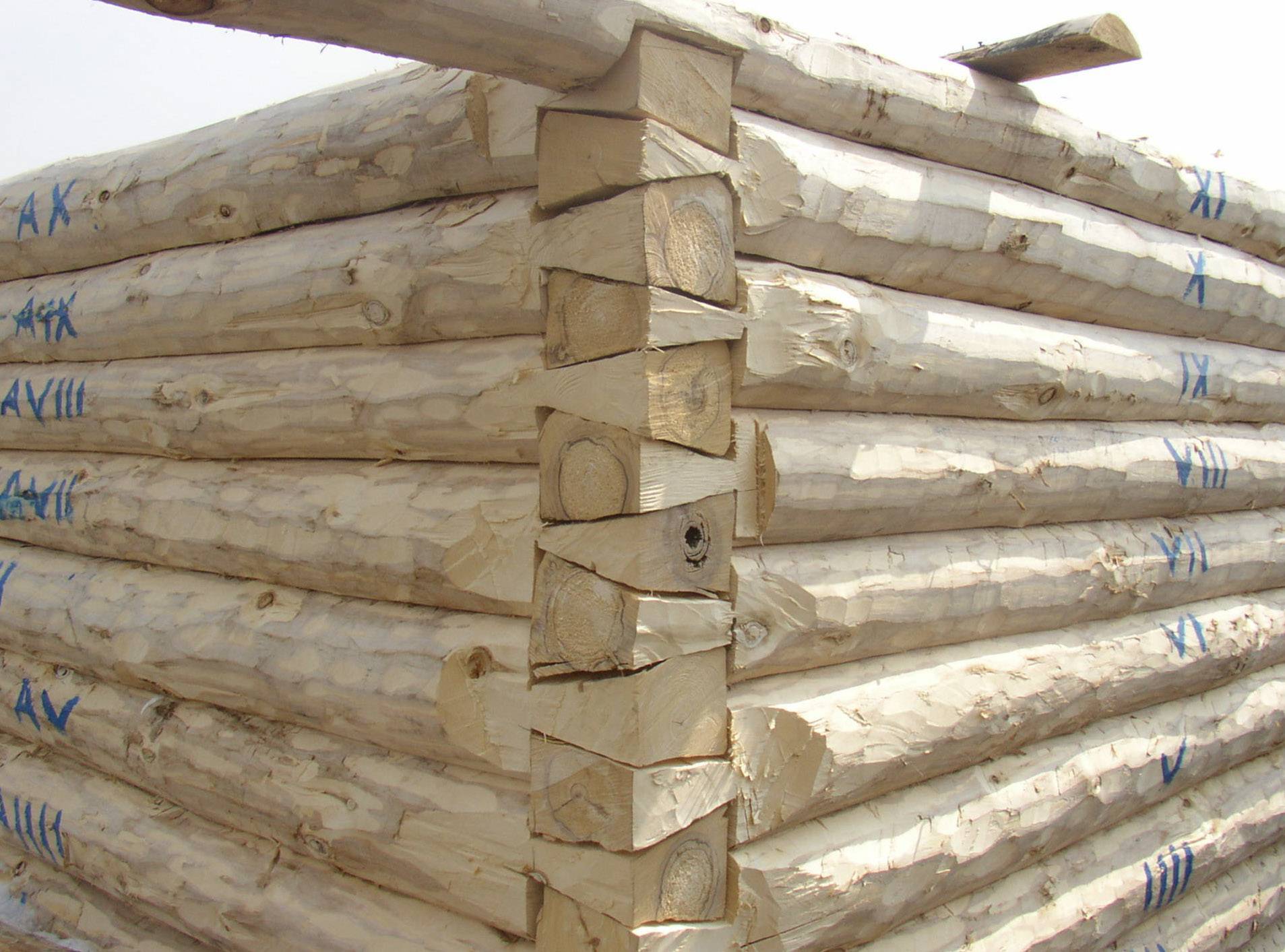 Баня из осины: плюсы и минусы при выборе в качестве основного материала для строительства