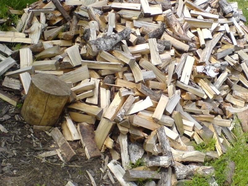 Сколько сохнут колотые березовые дрова ~ советы садоводам и огородникам