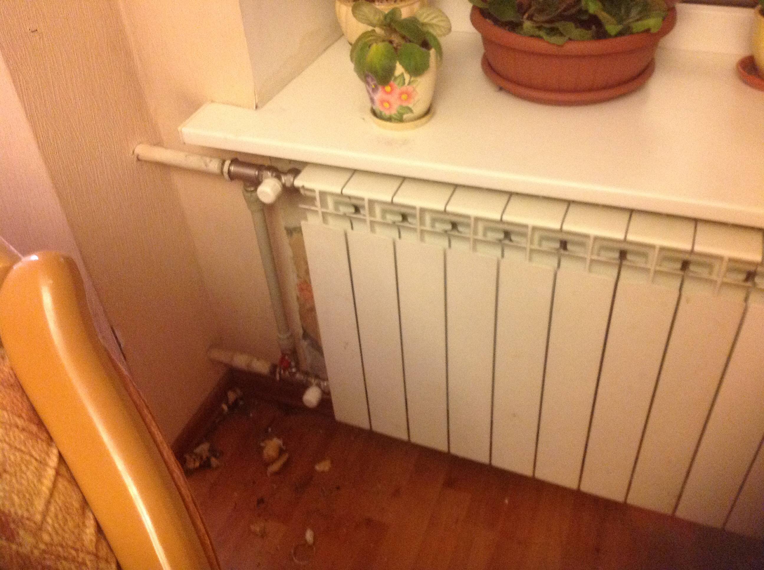 Холодные батареи в квартире: куда жаловаться и кто за это отвечает? | domosite.ru