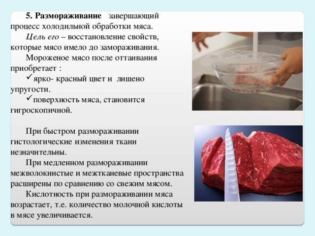 Как сохранить мясо в свежем виде дольше в холодильнике и без него