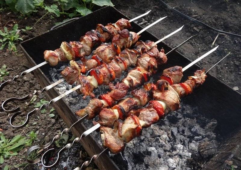 Как выбрать мясо для шашлыка / полезные советы и лайфхаки – статья из рубрики "культура мяса" на food.ru