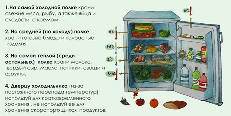 Как сохранить мясо без холодильника: 16 способов