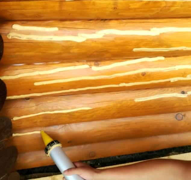 Трещины в бревнах (брусьях) сруба: способы профилактики и заделки древесных дефектов