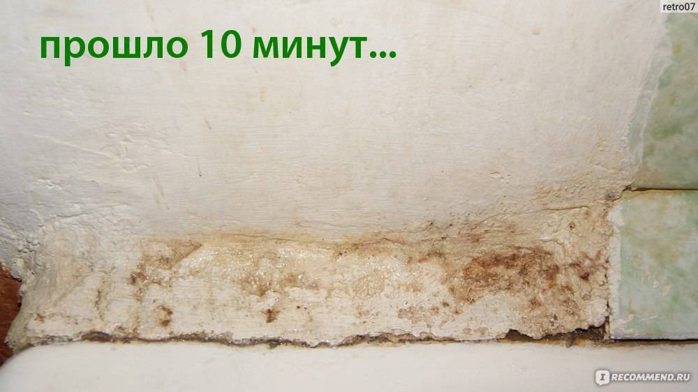 Чем вывести грибок в бане на полу и стенах