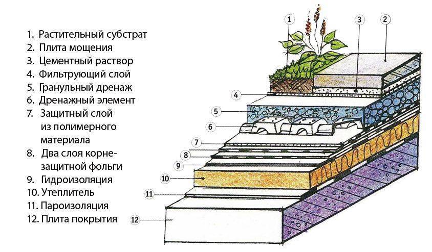 Слои конструкции. Эксплуатируемая зеленая кровля пирог. Экстенсивная зеленая кровля пирог. Озеленение плоской кровли чертеж. Конструкция скатной зеленой кровли.