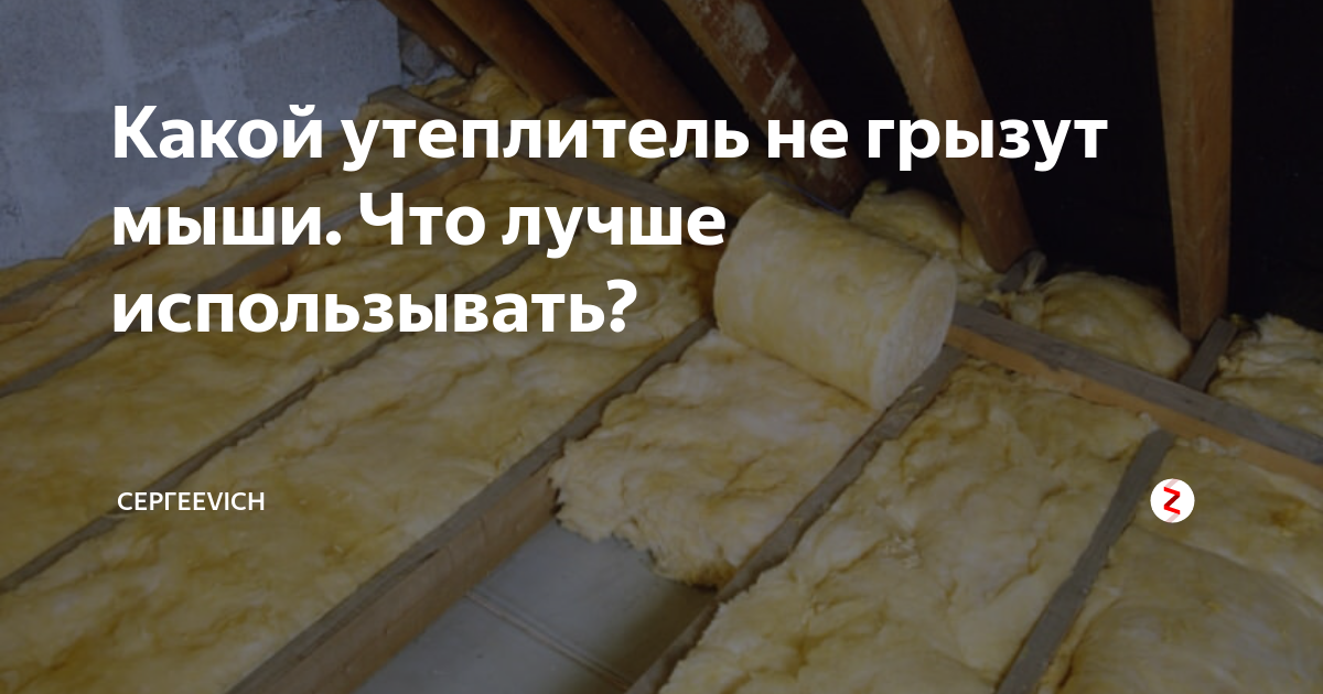 Какой утеплитель не грызут и не любят мыши и крысы: обзор материалов, преимущества и недостатки